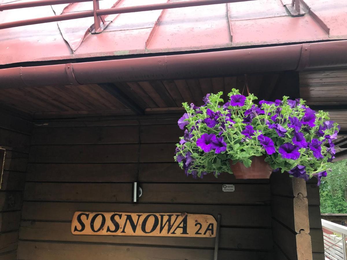 Sosnowy Zakatek Villa Wisła Kültér fotó
